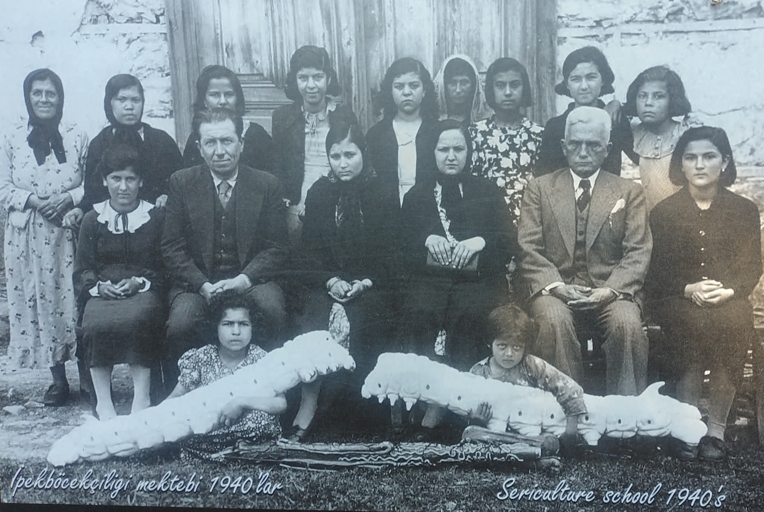 Личинки шелкопряда, 1940 год, Алания, Турция